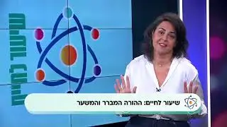 מיהו האדם המברר ואיך לפתח הוויה כזו כבסיס לחיים מאושרים הורות טובה ותקשורת מקרבת