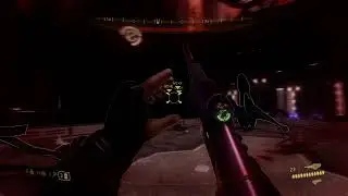 Buck's Big Brained Banshee Brigade