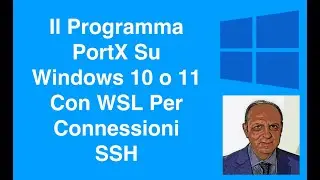 The Portx program on Windows with WSL for SSH connections