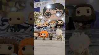 HARRY POTTER FUNKO ADVENT CALENDAR!