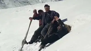 Гушкун рохат кун лайка бшап
