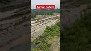 Англия работа 