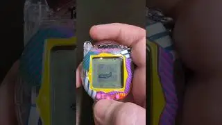 The long awaited Panda episode - Tamagotchi humulog