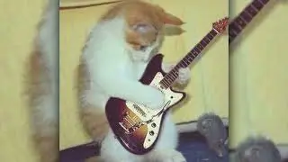 [FREE FOR PROFIT] ukulele x guitar trap type beat - забудь, всё в прошлом