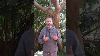 Três exercícios importantes #agapeakhenaton #reflexão #ressonanciaharmônica