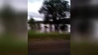 Прорвало дамбу в Булыга-Фадеево