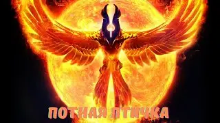 PHOENIX VS URSA