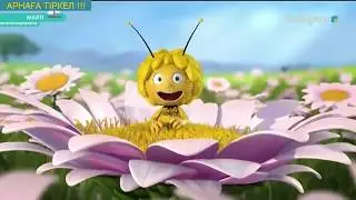 Майя   Қазақша Мультфильм