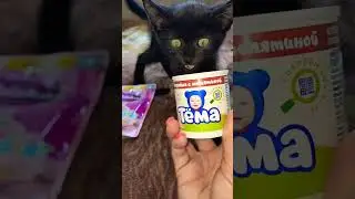 Пытаемся накормить Моню! 
