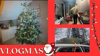 VLOGMAS: UBIERAMY CHOINKĘ 🎄🎄