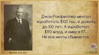 Что внутри демида