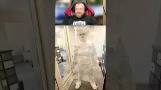 Петренто прикол 