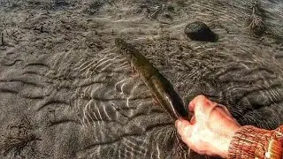 Щука,Окунь на Джиг.Осенняя Рыбалка на спиннинг