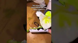 IM SAD NOW😭😭😭#paperdragonpuppet #diy #water #video #2024trends #poorpuppet #papercrafts #crafts
