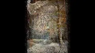 Февральская аллея