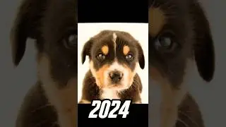 2024 dog 🐶 vs 5000 BCE dog 🐕 💥💥 #viral #shorts