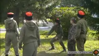 Казаки