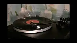 Яблоки на снегу-Михаил Муромов