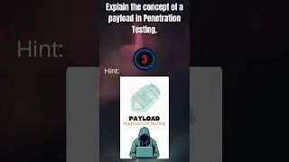 Penetration Testing Q2/6