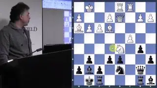 Exploring the Hedgehog - GM Yasser Seirawan - 2014.02.27