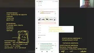 Разбор вопросов и ошибок по пищеварительной системе.