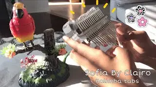(EASY!) Sofia - Clairo | Kalimba Cover/Tutorial with Tabs