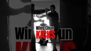 Wing Chun Kicks from sticky hands
