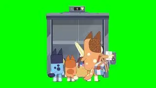 Elevator Open Green Screen | Bluey Relax