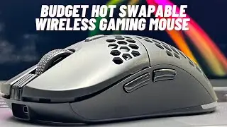 Budget Hot swappable switches Wireless Gaming Mouse | Techware Pulse Elite