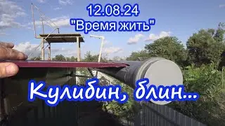 12.08.24  Вот переедете сюда, тоже будете этим заниматься
