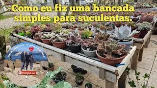 Como fazer uma bancada para suculentas Meu jardim de suculentas #suculentas #jardim de suculentas