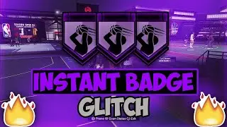 NBA 2K20 MAX BADGE GLITCH! MAX BADGES IN ONE DAY!