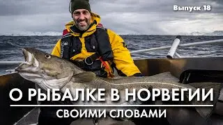 Рыбалка в Норвегии. Органайзер для пилькеров.