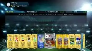 TOTS Gerrard Reaction
