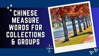 Chinese Measure Words for Groups and Collections | MWs Series Part 10 of 16