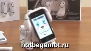 Игрушки для мальчиков и ВЗРОСЛЫХ. Обзор TechPet (ТекПэт)