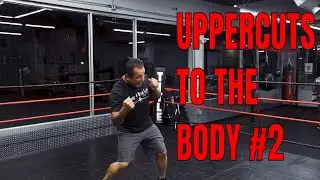 Uppercut to the Body #2 - Boxing Basics with Tony 