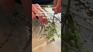 В Москве мастер-классы по художественному литью #ботаническийбарельеф подробнее в комментариях