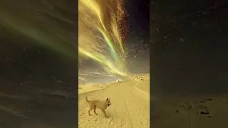 Сказочная дорога
