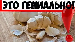3 варианта быстро почистить чеснок (только не надо давить его ножом)!