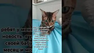 всех люблю