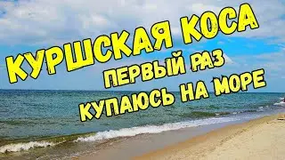 Куршская коса .первый раз купаюсь на море.