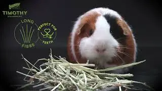 BUNNY NATURE - Timothy THE bunnyNature Snack