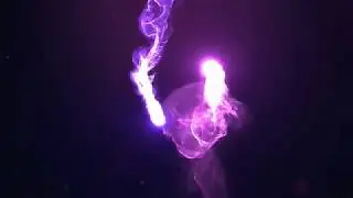 Free After Effects Templates - Epic Light – Apple Motion