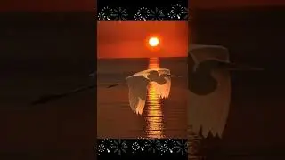 Невероятно красивая музыка 😊🤗
