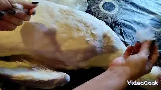 Ощипываем гуся насухую, гусь не только новогодняя птица