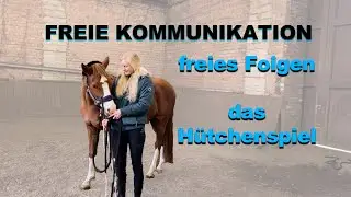 Freie Kommunikation mit Pferden | Beginn der Freiarbeit - das Hütchenspiel
