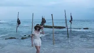 Авторские туры на Шри Ланке