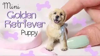 Miniature Golden Retriever Puppy Tutorial // Dolls/Dollhouse DIY
