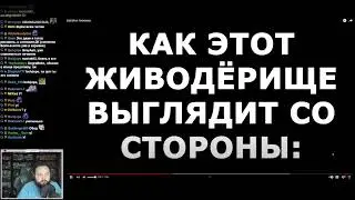 Реакция Бэбэя на "Бэбэй и гномики"